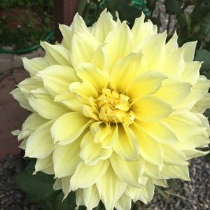 Meet your Posher, Judith